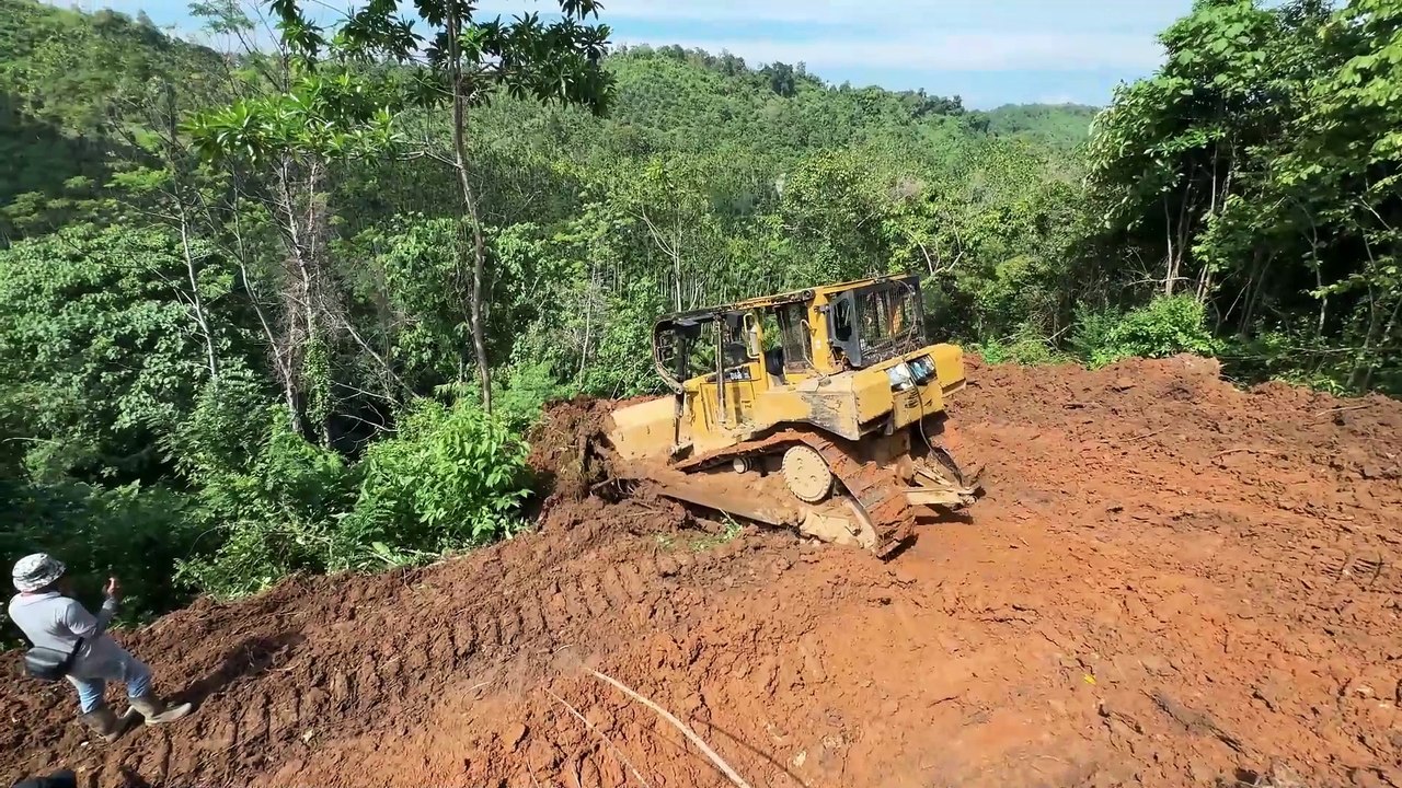 Advantages of the D6R XL Bulldozer Opens Oil Palm Terraces in Steep Plantations