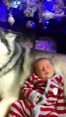 I won't be your friend all your life, but I will be your friend all my life