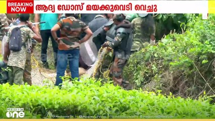 മയക്കുവെടിയേറ്റ പുലി പൂർണമായും മയങ്ങി; വലയിലാക്കി കുപ്പാടിയിലേക്ക് മാറ്റും