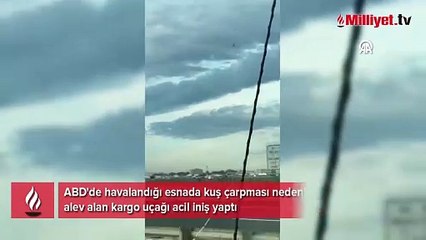 ABD'de kuş çarpan kargo uçağı acil iniş yaptı