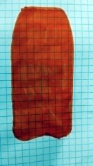 Bodyboard fai da te per barbie 5