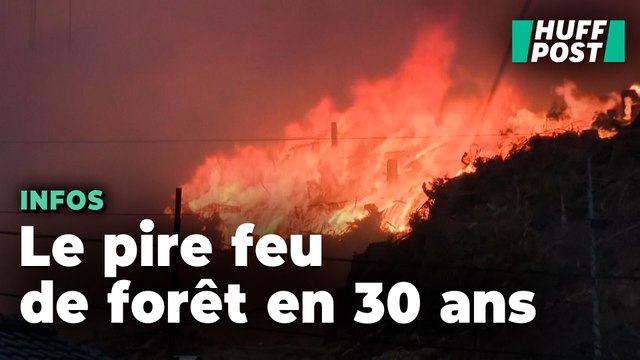 Le Japon face à son pire feu de forêt depuis plus de 30 ans