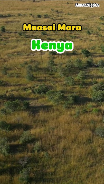 Maasai Mara, Kenya- Short