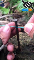 Practical string line hitch - Very simple #knotshort