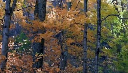 Unsere Erde (2007)