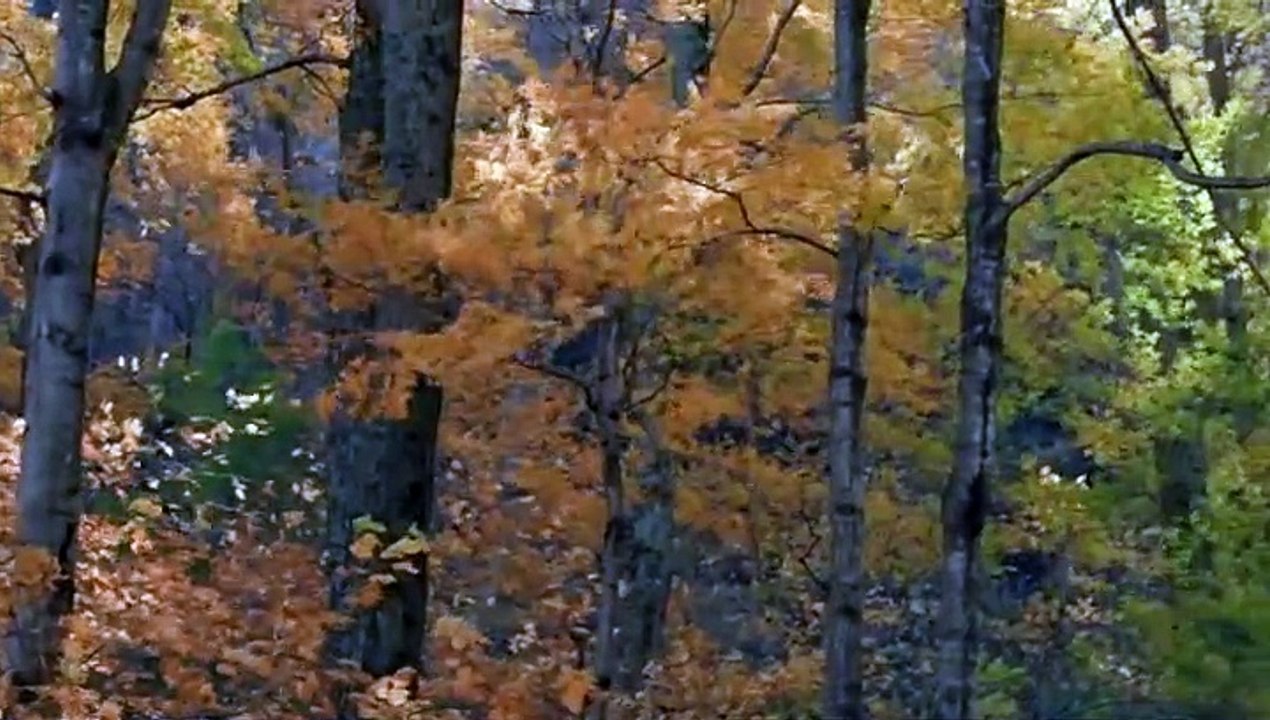 Unsere Erde (2007)