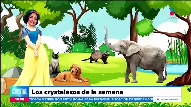 Los Crystalazos de la semana