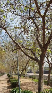 Fighter Jets in Santiago, Chile. P2