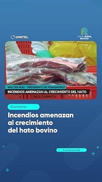 Incendios amenazan al crecimiento del hato bovino