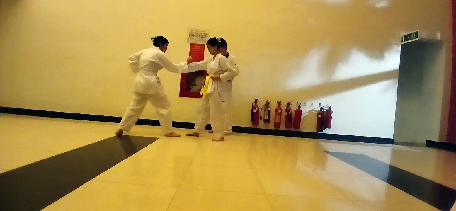 Taekwondo , tkd 20240905_194452