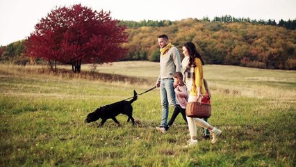 Must-Haves to Make Life Better