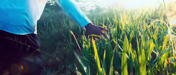 My Hallucination | movie | 2024 | Official Teaser