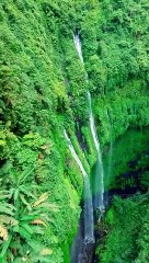 BEAUTIFUL GREEN AREA,,,