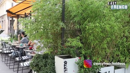 Paris _What are Doing Today