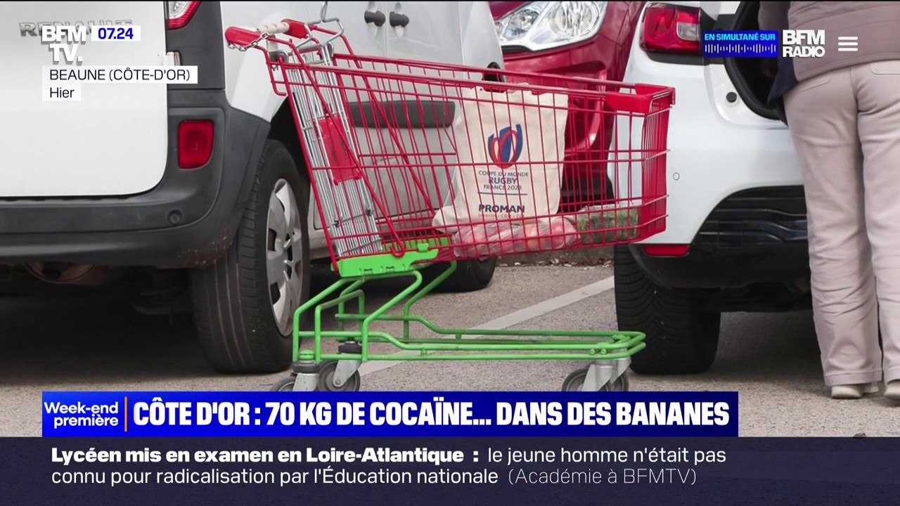 Côte d'Or: 70 kg de cocaïne dissimulés dans des bananes