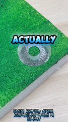 Random Curiosities(Korean subtitle video)