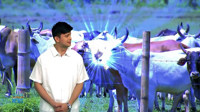 Ano ang deepfakes na maaaring magamit upang makapanloko? | Panata Kontra Fake News
