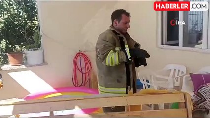 Mardin'de Evin Bahçesine Giren Yılanlar Korku Saldı