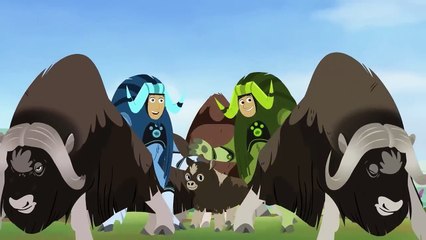 Every Creature Rescue Part 23 | Protecting The Earth's Wildlife