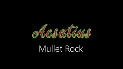 Acsatius ¦ Mullet Rock (official audio)
