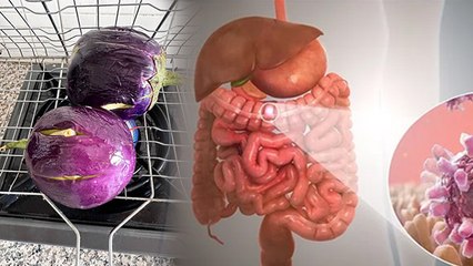 Brinjal In Rainy Season: Barsat Me Baigan Khana Chahiye Ya Nahi | Boldsky