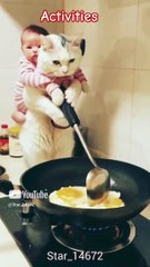 ___Activities __ #shorts #001 #music #funny  #cat @Star_14672