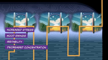 The Ultimate Guide to 10x Better Sleep (tonight)#health#lifestyle