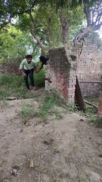 #tiktok #insta #meme #viral #explorepage #india #likes #bhfyp #dance #tiktok #lfl #trending #video #dankmemes #youtube #funnymemes #memesdaily #humor #comedy #fyp #bollywood