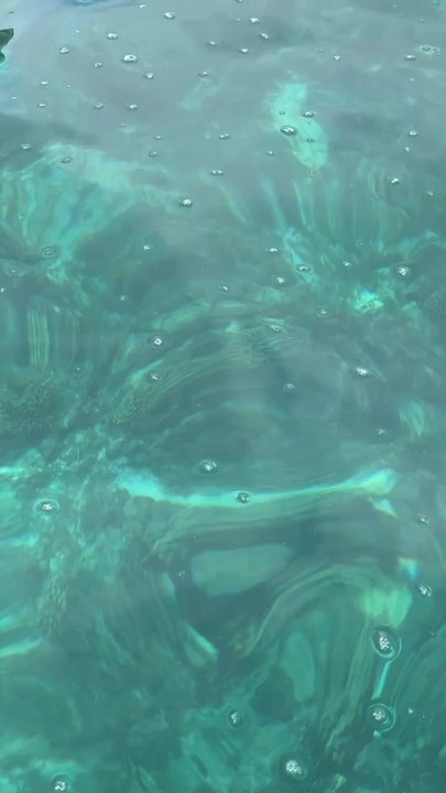Oceans Heart‍♀️️️