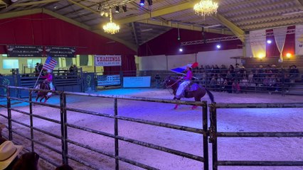 American Horse Show au Haras