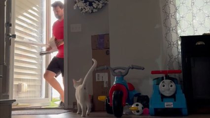 Woman's hilarious scare prank on husband gets cat caught in the crossfire