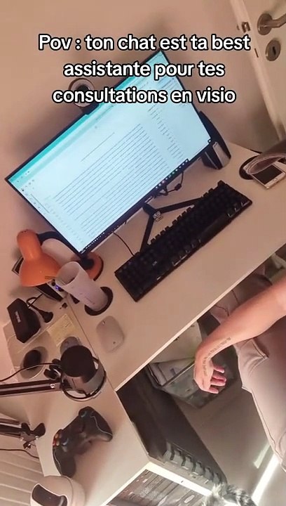 Mon chat, ma meilleure assistante pour mes consultations visio ! #sansfiltre