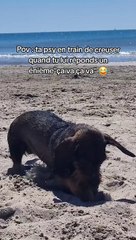 Psy ou spéléologue ? Parfois je me demande lol #sansfiltre