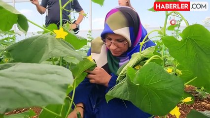 Adıyaman'da Kadın Kooperatifi İlk Ürün Hasadını Yaptı