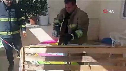 Görenler korkudan şaştı kaldı! Evin her köşesinden yılan çıkıyor