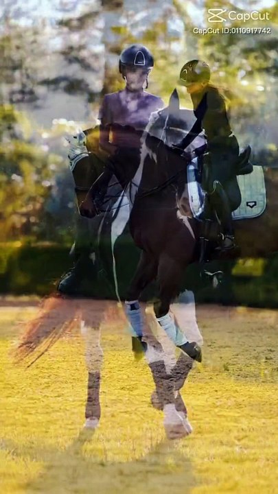 Horse lover