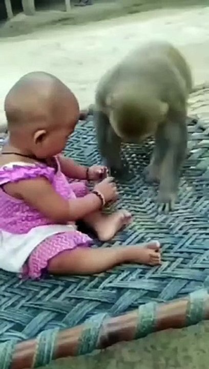 So Cute..✌️✌️_Monkey uncle plays the phone..___reels _litillgirls _gudiya _monkey _animallover _friends _viral _reelsviralシ _shortsreels _reelsfbシ _reelsviralfb(