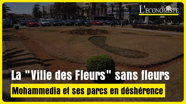 La Ville des Fleurs sans fleurs : Mohammedia et ses parcs en déshérence