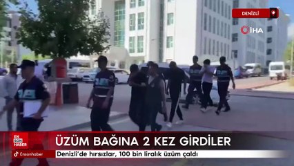 Denizli'de hırsızlar, 100 bin liralık üzüm çaldı