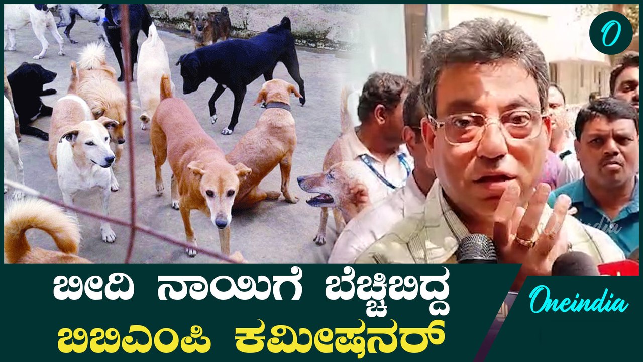 Street dogs ಮಾತನಾಡಿದಷ್ಟೂ ಹೊತ್ತು ಬೊಗಳಿ ಅಡ್ಡಿಪಡಿಸಿದ ಬೀದಿ ನಾಯಿಗಳು