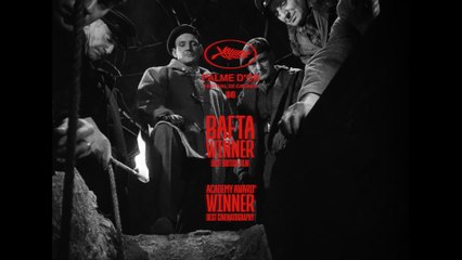 Der dritte Mann Film - Trailer & Inhalt 🎬