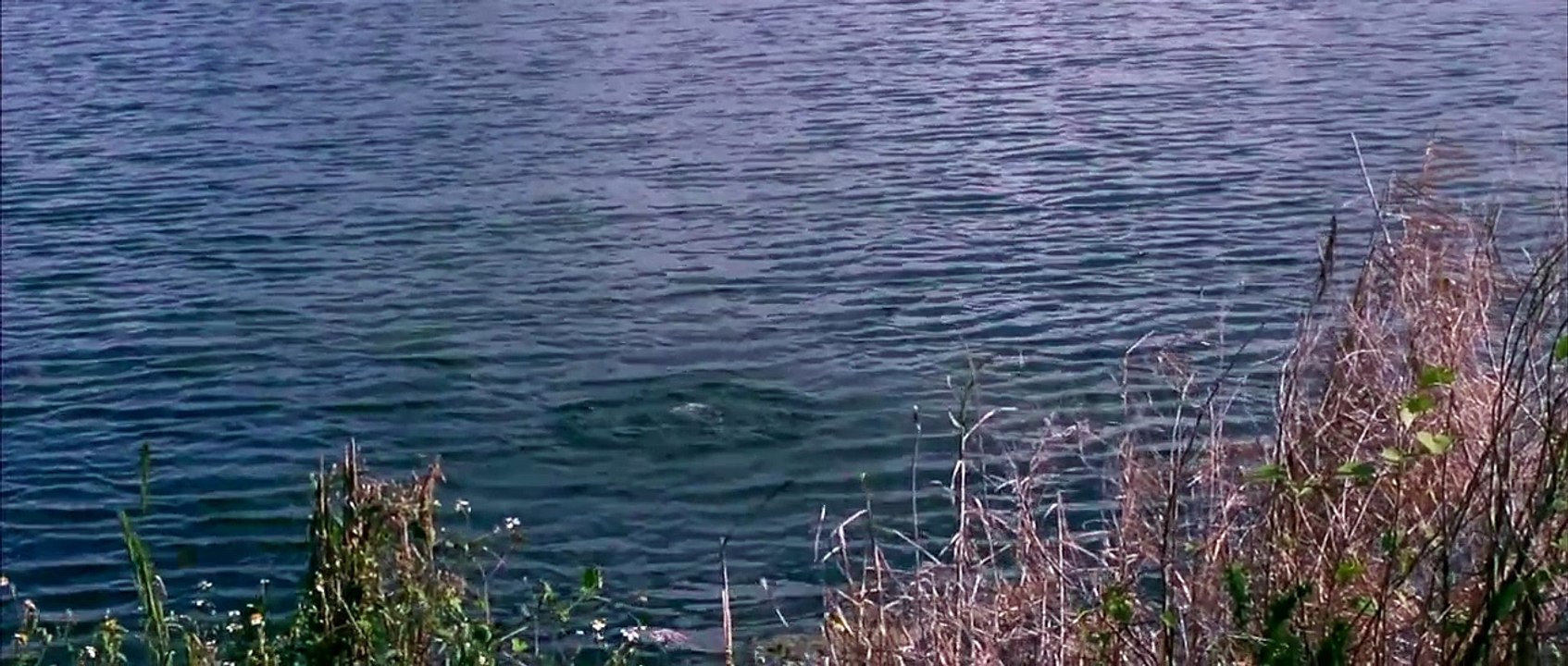 Earth Virus of the Dead