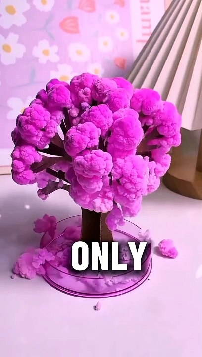 Random Facts You Didn't Know..#shorts #youtubeshorts #shortvideo #randomfacts