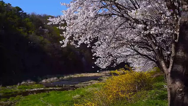 Surat Ibrahim Sheikh Zain Mohamed Ahmed سورة ابراهيم تلاوة خاشعة و هادئة