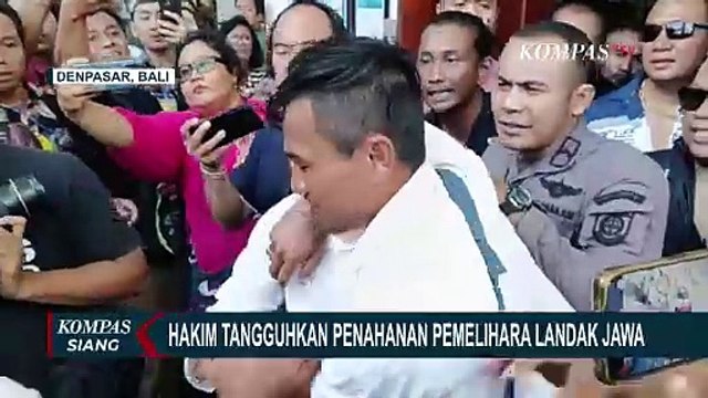 Penahanan Ditangguhkan Hakim, Warga Bali yang Pelihara Landak Jawa Tersenyum Bahagia