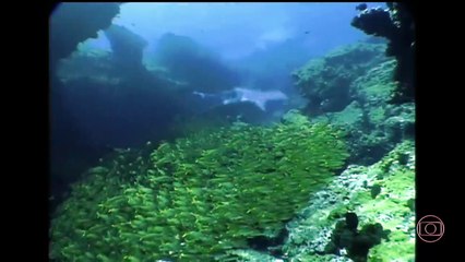 Porto dos Milagres (2001_