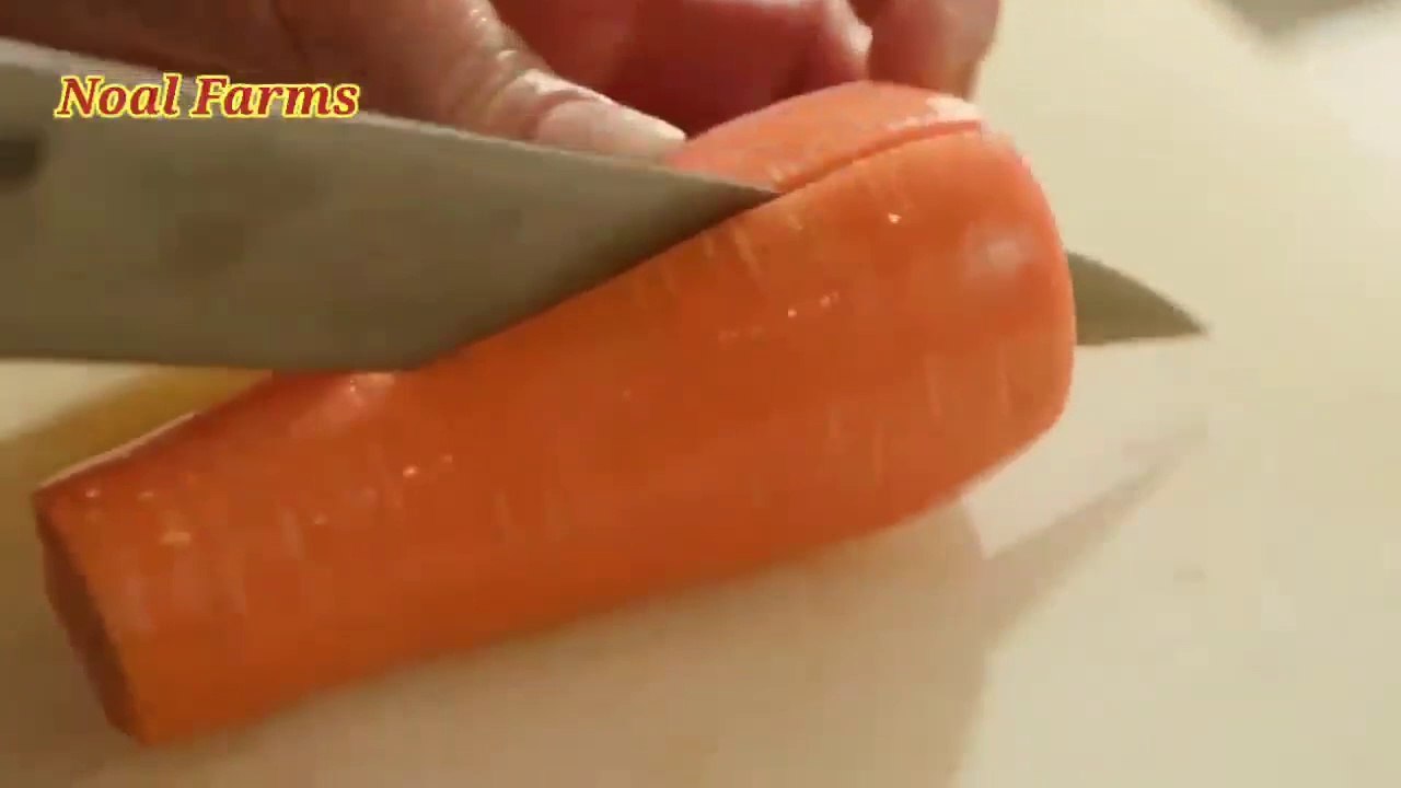 Farmer Harvest Cabbage Under Snow Vegetable Farming Cabbage Carrot  Radish