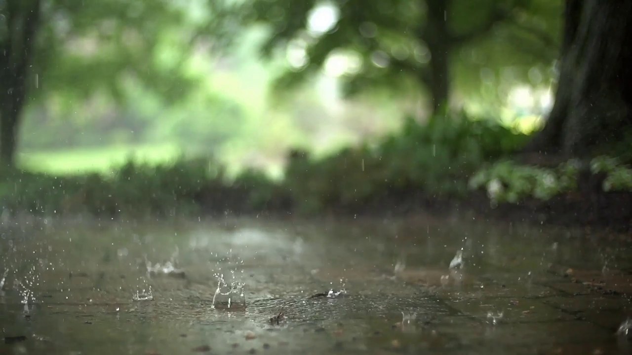 Rain+Lofi Songs