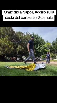 Omicidio a Napoli, ucciso sulla sedia del barbiere a Scampia #camilloesposito #napoli #scampia #secondigliano #fyp #socialnews #news #tiktoknews #viral #social #storytime #foryoupage #viraltiktok #voliamoneixte✈ #settembre2024 #cronaca #giallo #daytime