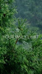 Break Your Limits: Unleash Your Greatness